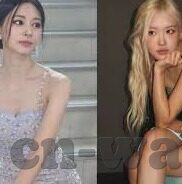 足球比分探球网-探秘足球比分探球网，球迷的智慧导航站与数据宝藏库